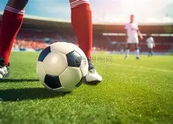 拜仁传奇阵,容揭晓,贝肯鲍尔,广州赛马会,赛程安排,赛马赛事,马匹资料,赛事动态