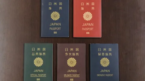 世界杯点球大战揭秘：十二码决胜负，传奇“金球秘技”闪耀足球盛宴！